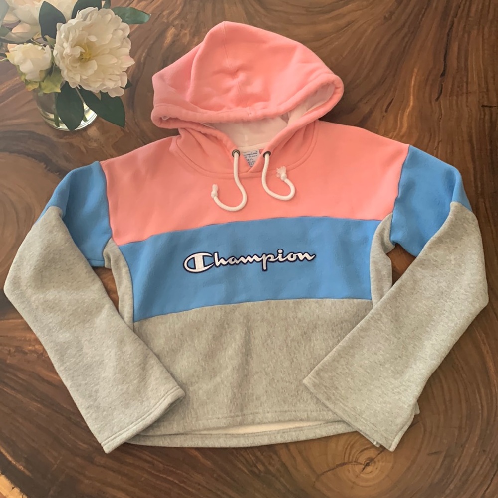 Champion color block hoodie